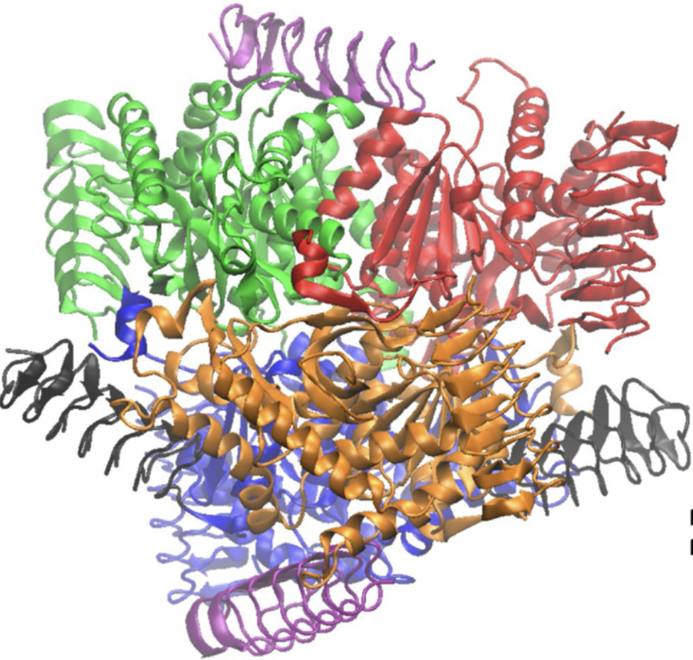 Systemic HER3 ligand-mimicking nanobioparticles